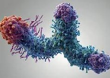 Clinical Trials in Oncology and Defining Benefit