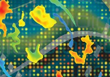 Reverse Translation of US Food and Drug Administration Reviews of Oncology New Molecular Entities Approved in 2011-2017: Lessons Learned for Anticancer Drug Development