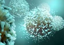 Quantitative Mechanistic Modeling in Support of Pharmacological Therapeutics Development in Immuno-Oncology
