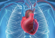 Assessing cardiac safety in oncology drug development