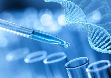 Clinical Trial Evidence Supporting US Food and Drug Administration Approval of Novel Cancer Therapies Between 2000 and 2016