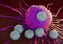Estimation of the Percentage of US Patients With Cancer Who Are Eligible for and Respond to Checkpoint Inhibitor Immunotherapy Drugs