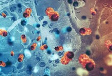 Overview of Oncology and Hematology Drug Approvals at US Food and Drug Administration Between 2008 and 2016
