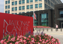 Association of National Cancer Institute-Sponsored Clinical Trial Network Group Studies With Guideline Care and New Drug Indications