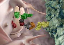 New Realities of Phase I Clinical Trials in the Era of 