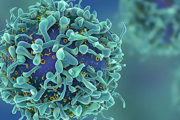 Publication statuses of clinical trials supporting FDA-approved immune checkpoint inhibitors: a meta-epidemiological investigation