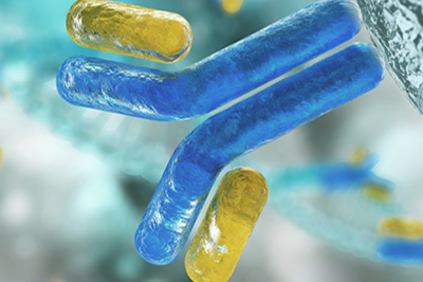 Rise of Antibody-Drug Conjugates: The Present and Future