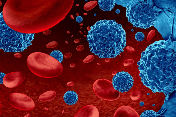 EHA evaluation of the ESMO-Magnitude of Clinical Benefit Scale version 1.1 (ESMO-MCBS v1.1) for hematological malignancies