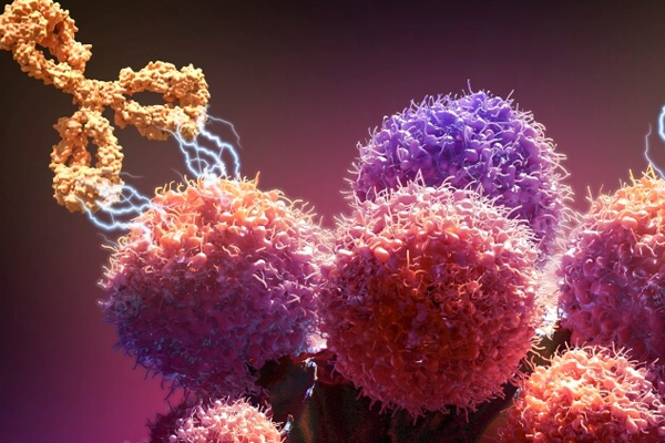 Characterizing Exposure–Response Relationship for Therapeutic Monoclonal Antibodies in Immuno-Oncology and Beyond: Challenges, Perspectives, and Prospects