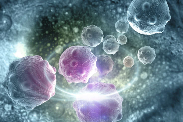 Tumor Growth Dynamic Modeling in Oncology Drug Development and Regulatory Approval: Past, Present, and Future Opportunities