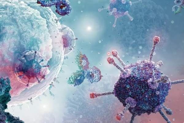 Quantitative Translation in Immuno-Oncology Research and Development