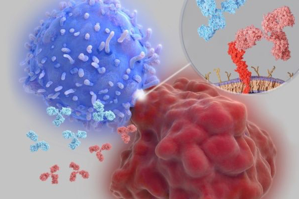 Clinical benefit of immune checkpoint inhibitors approved by US Food and Drug Administration