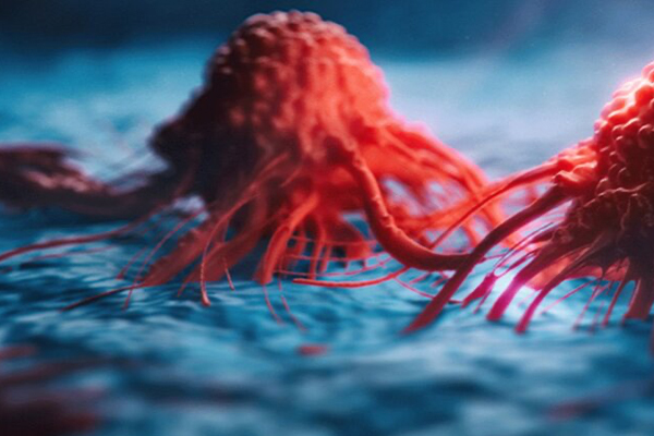 Advances in basic research in oncology in 2020: Bridging basic science and clinical care
